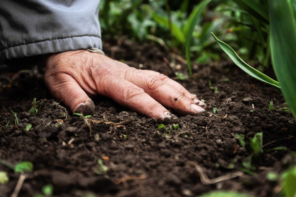 Atividade Econômica Que Prepara O Solo Para Plantar E Colher